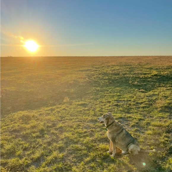 Meet your Posher, Angel - Picture 1 of 4